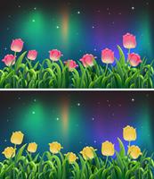 Scènes de fleurs de tulipes roses et jaunes dans la nuit vecteur