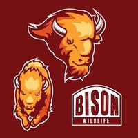 illustration de bison pour la ressource de logo vecteur