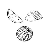 illustration vectorielle d'une pastèque sur un fond blanc isolé. croquis de magasin, bannière, menu et logo. contour noir et blanc. vecteur