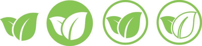 logo de la nature des graines de feuilles vertes vecteur