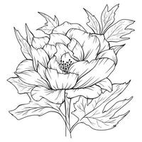 contour de pivoine isolé, pivoines d'art en ligne, dessin au trait floral, dessin au trait botanique vecteur