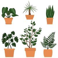 ensemble de six illustrations de plantes de dessin animé mignon dans des pots. vecteur pour cartes, invitations, autocollant, bannière