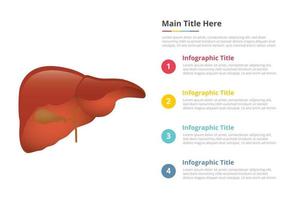 modèle d'infographie humaine du foie avec 4 points de description de texte d'espace libre - illustration vectorielle vecteur