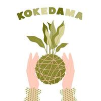 plante de boule de mousse japonaise kokedama dans les mains des femmes. jardiner à la maison. illustration vectorielle. vecteur