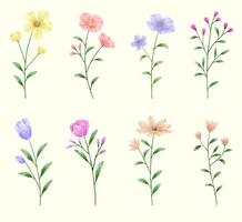 un ensemble de fleurs peintes à l'aquarelle pour créer un travail de designer vecteur