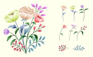 un ensemble de fleurs peintes à l'aquarelle pour créer un travail de designer vecteur