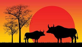 buffle, safari faune afrique coucher de soleil, animaux vecteur isolé