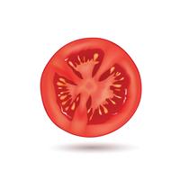 Tomate isolée. Logo de légumes. Signe de produit naturel vecteur