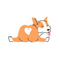 illustration de dessin animé mignon chien corgi. un chiot drôle avec une langue qui sort. vecteur