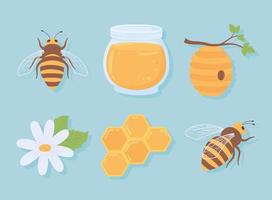 ensemble d'abeille et de miel vecteur