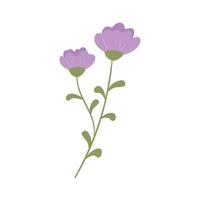 fleurs violettes nature vecteur