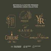 collection de logos de marque préfabriqués botaniques et naturels vecteur