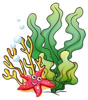Récifs coralliens avec une étoile de mer souriante vecteur