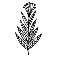 fleur sauvage avec icône de vecteur de feuilles veinées. illustration dessinée à la main isolée sur fond blanc. un rameau à inflorescence ombelle et à baies rondes. croquis monochrome botanique.