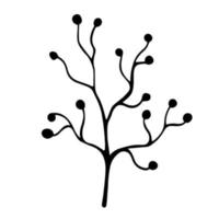 silhouette de branche sans feuilles avec icône de vecteur de baies rondes. illustration dessinée à la main isolée sur fond blanc. contour de brindille. croquis botanique d'un buisson. brin nu. élément naturel monochrome.