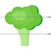 illustration vectorielle. un jeu pour les enfants d'âge préscolaire. couper l'image en morceaux. plier dans le bon ordre. mosaïque. brocoli vecteur