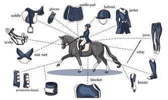 infographie de sport équestre harnais de cheval et équipement de cavalier au centre d'un cavalier sur un cheval en style cartoon vecteur