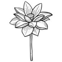 fleur dessinée à la main feuilles de lotus naturals autocollant isolé illustration dart en ligne botanique noir vecteur