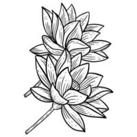 fleur dessinée à la main feuilles de lotus naturals autocollant isolé illustration dart en ligne botanique noir vecteur