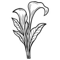 fleur dessinée à la main feuilles de lotus naturals autocollant isolé illustration dart en ligne botanique noir vecteur