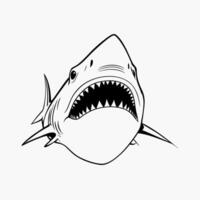 génial blanc requin clipart vecteur