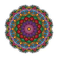 Beau mandala coloré 1 vecteur