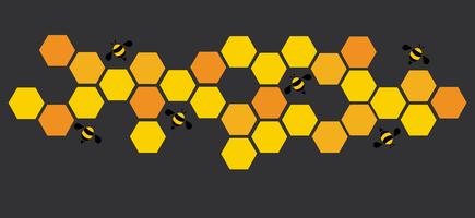 hexagone abeille design art et espace fond vecteur