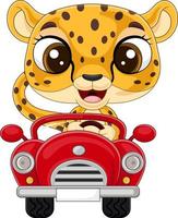 dessin animé bébé léopard au volant d'une voiture rouge vecteur