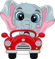 dessin animé bébé éléphant conduisant une voiture rouge vecteur