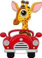 dessin animé bébé girafe au volant d'une voiture rouge vecteur