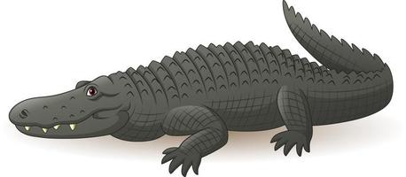 alligator gris dessin animé isolé sur fond blanc vecteur