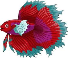 poisson de combat siamois rouge dessin animé vecteur