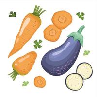 carottes et aubergines. légumes frais biologiques entiers et en section. nourriture saine, diététique et végétarienne. illustrations vectorielles pour les menus, les recettes vecteur