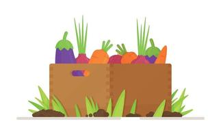 une caissette de légumes récoltés au potager du village. illustration vectorielle de la récolte et de la plantation de nouveaux. vecteur