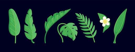dessin de feuilles tropicales. feuilles de monstera et de jungle de palmiers, feuillage exotique vert, collection décorative botanique nature.