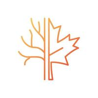 icône de vecteur linéaire dégradé d'érable. emblème canadien officiel. espèces d'arbres et d'arbustes qui poussent au canada. symbole de couleur de ligne mince. pictogramme de style moderne. dessin de contour isolé de vecteur