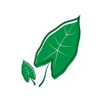 belle plante jardin abstrait taro feuille logo symbole icône vecteur conception graphique illustration idée créatif