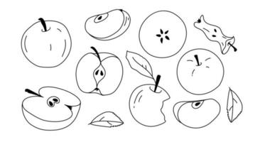 sertie de tranches de pomme et de pommes. éléments dessinés à la main lineart noyau de fruits et moitié de pomme. griffonnage, simple, ligne vecteur
