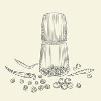 concept de moulin à poivre. ensemble de poivre. broyeur d'épices et d'ingrédients alimentaires. vecteur