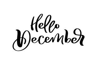 Bonjour décembre main lettrage décoratif lettrage texte isolé sur fond blanc pour calendrier, agenda, agenda, décoration, autocollant, affiche vecteur
