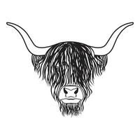 tatouage tête de taureau highland