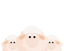 animaux moutons mignons sur fond blanc vecteur