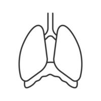 icône linéaire de la cavité thoracique. diaphragme. illustration de la ligne mince. poumons humains. symbole de contour. dessin de contour isolé de vecteur