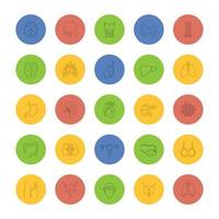 ensemble d'icônes linéaires d'organes internes. systèmes respiratoire, urinaire, reproducteur, digestif. symboles de contour de ligne mince sur fond de couleur. illustrations vectorielles vecteur
