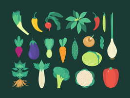 Ensemble de légumes colorés vecteur