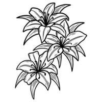 fleur dessinée à la main avec feuille naturals isolé illustration d'art botanique noir vecteur