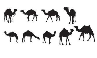 collection de conception d'illustration vectorielle de chameau vecteur