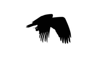 conception d'illustration vectorielle silhouette aigle vecteur