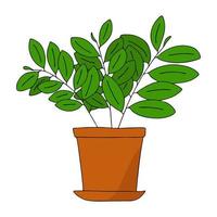 fleurs d'intérieur dans un pot dans le style de pot doodle.brown pour plants.green leaf.vector illustration. vecteur