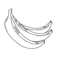 bananes noires et blanches. illustration pour livre de coloriage et images pour enfants. ep 10. vecteur